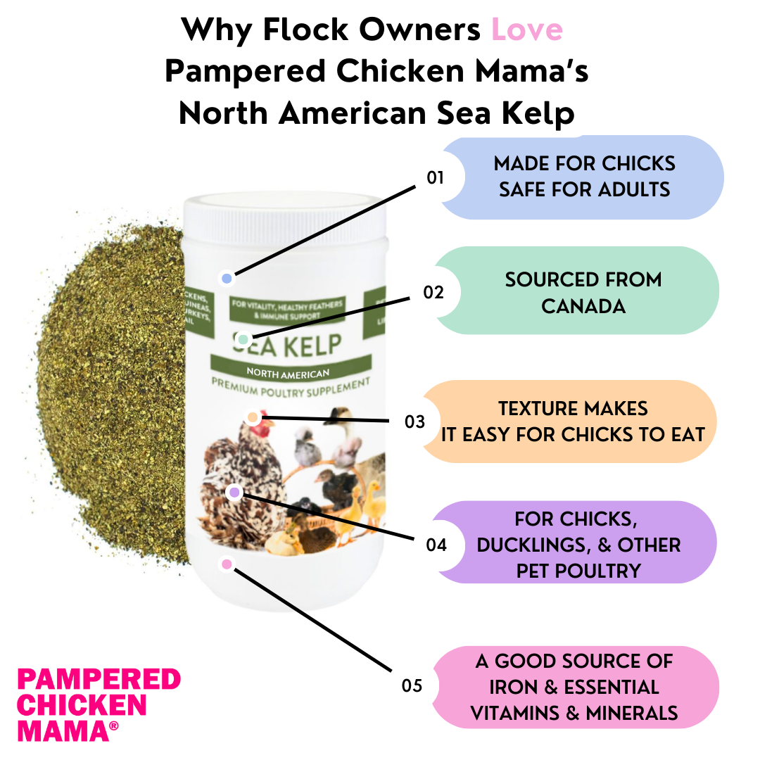 Pampered Chicken Mama Sea Kelp: Vitamins & Minerals for Chickens, Ducks, & Poultry. Healthy Feathers, Eggs, Immunity Boost