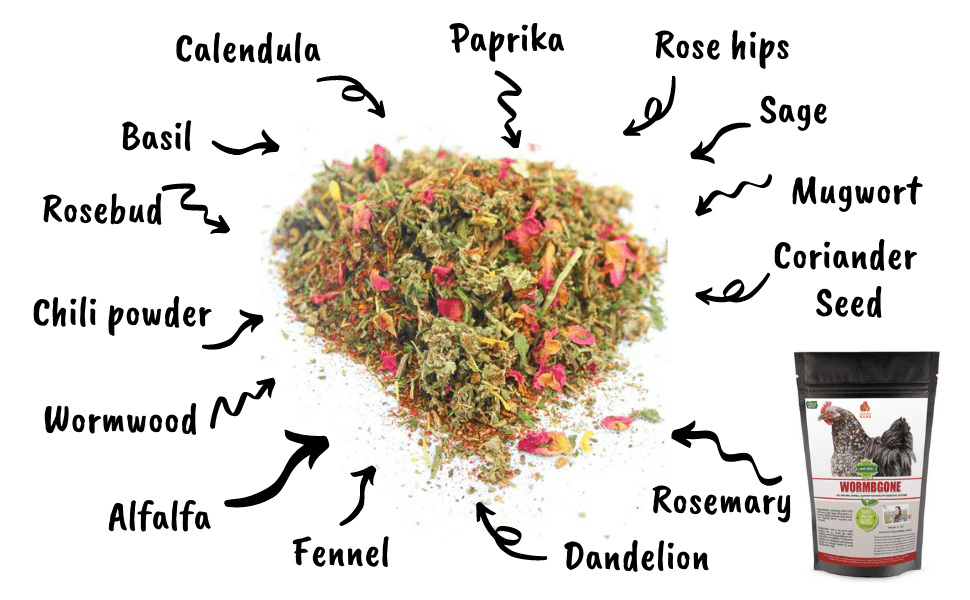 WormBGone Nesting Herbs For Pet Chickens With Roses, Chilis, Calendula, Dandelion For Healthier Coops