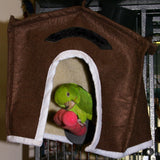 A cozy green parrot sitting in an Avian Haven Hut for Pet Birds.