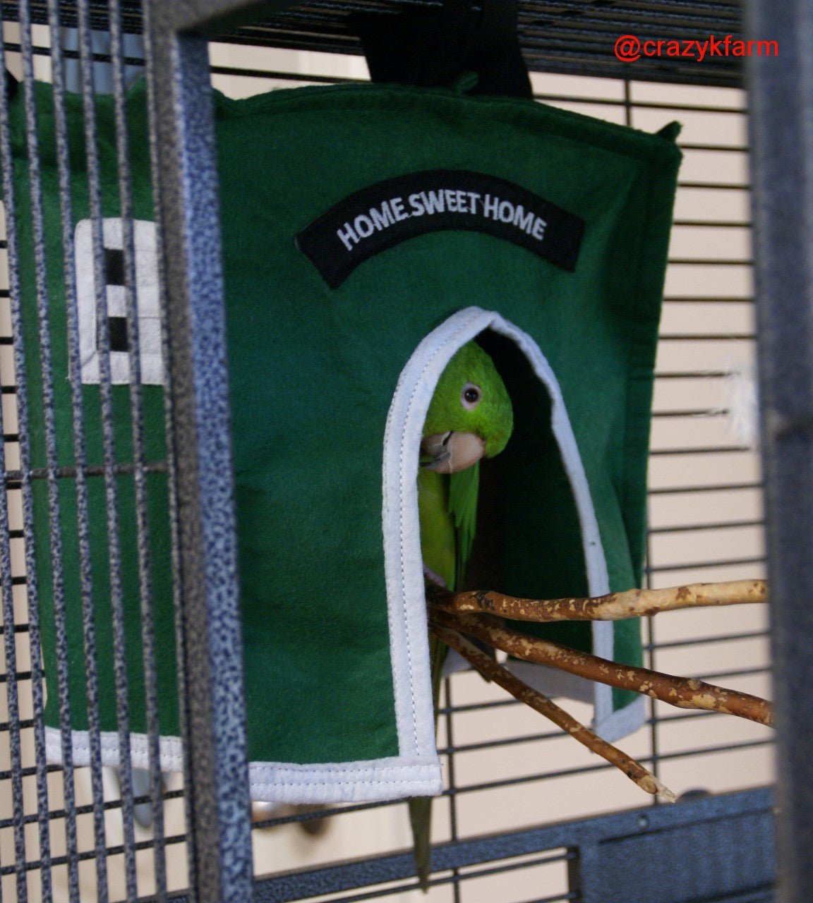 Parrot in Bird Cage Haven Hut - Cozy Home Sweet Home by Crazy K Farm Pet & Poultry. Bird Safety Guaranteed! #avianhaven #parrot