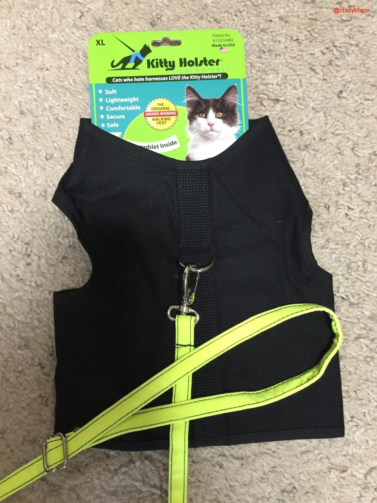 Clearance Holster Leash (Made in USA) Lemon Lime 6'