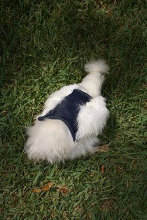 Custom Handmade Hen Saver Hen Apron/Saddle (Made in USA) Denim