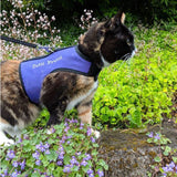 A cat wearing a Custom Handmade Kitty Holster Cat Harness in a garden.