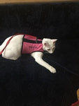 Kitty Holster Cat Harness (Made in USA) Color: Gray, Size: S/M Kitty Holster Cat Harness (Made in USA) Color: Gray, Size: S/M