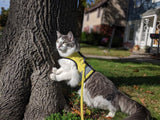 Custom Kitty Holster Reflective Safety Vest (Made in USA) - CATS