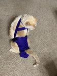 A Diapurr Cat Diaper wearing a black harness comfortably on the floor.