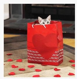 A cat is hiding in a unique red Gift Card bag.