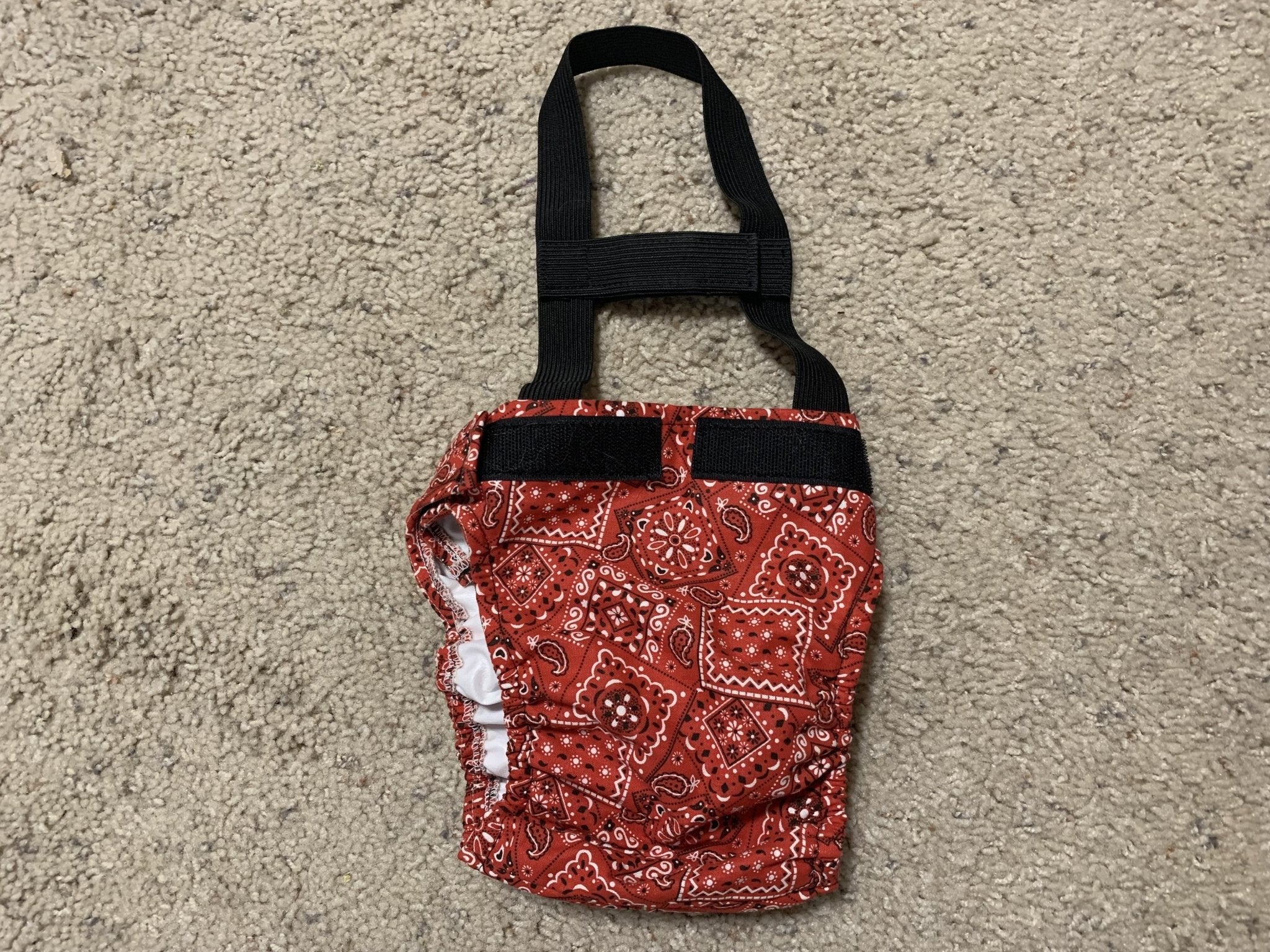 HaPeePants diaper for small dogs