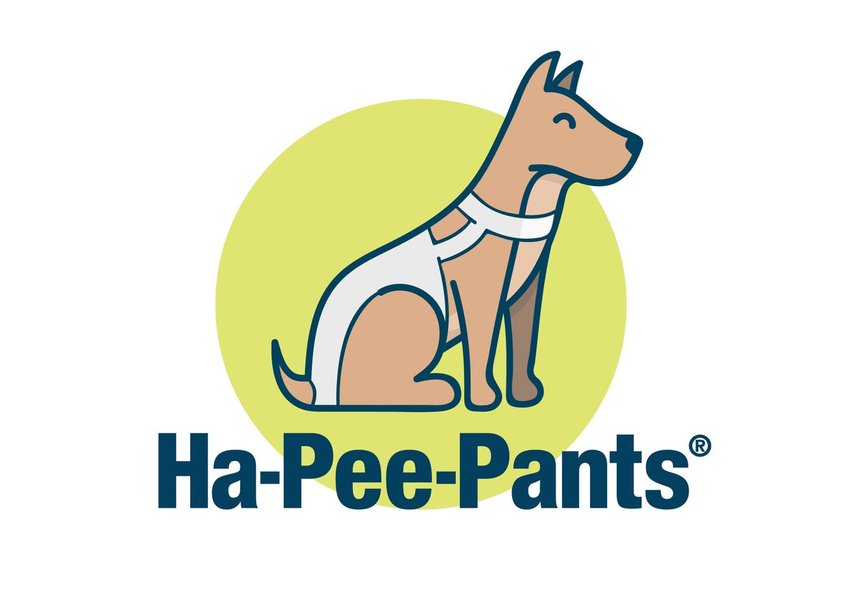 HaPeePants diaper for small dogs