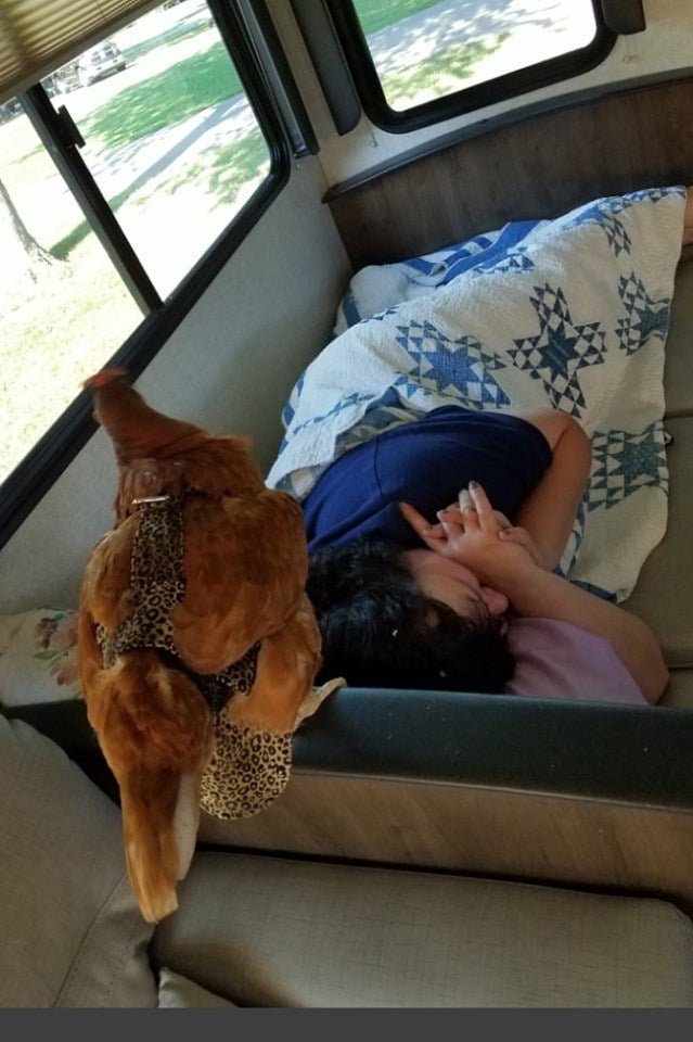 Hen Holster Bird Diaper/Harness (chicken diaper, duck diaper, pigeon diaper with Removable Vinyl Liner)