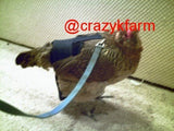 A CLEARANCE Hen Holster Bird Diaper/Harness with Permanent Liner on a harness.