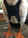 Hen Holster with Removable Liners For Waterfowl - duck and goose diaper
