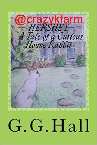 Hershey, A Tale of a Curious House Rabbit [exclusive signed and personalized edition]