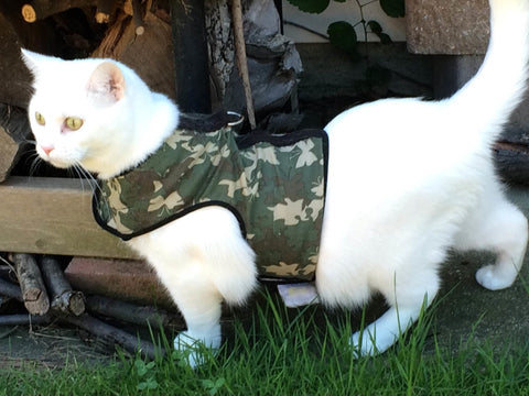 thumbnail image 2 of Kitty Holster Cat Harness – Made In USA, Comfortable & Escape-Proof 2 of 4