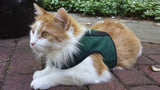 Kitty Holster Cat Harness (Made in USA) - cat harness