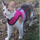 Kitty Holster Cat Harness (Made in USA Reflective Safety Harness) Flamingo Pink XS