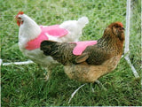 Two chickens in a cage with a CLEARANCE SALE Hen Saver Hen Apron/Saddle (Old-style).